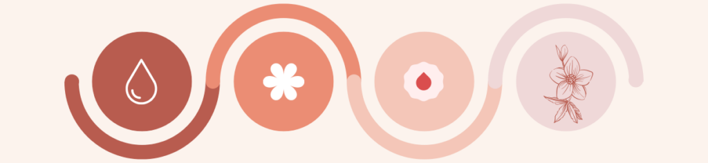 cycle menstruel
